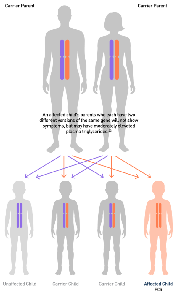How FCS Genes Are Passed From Parents to a Child How FCS Genes Are Passed From Parents to a Child
