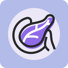 Pancreas icon.