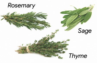 Fresh Rosemary, Thyme & Sage