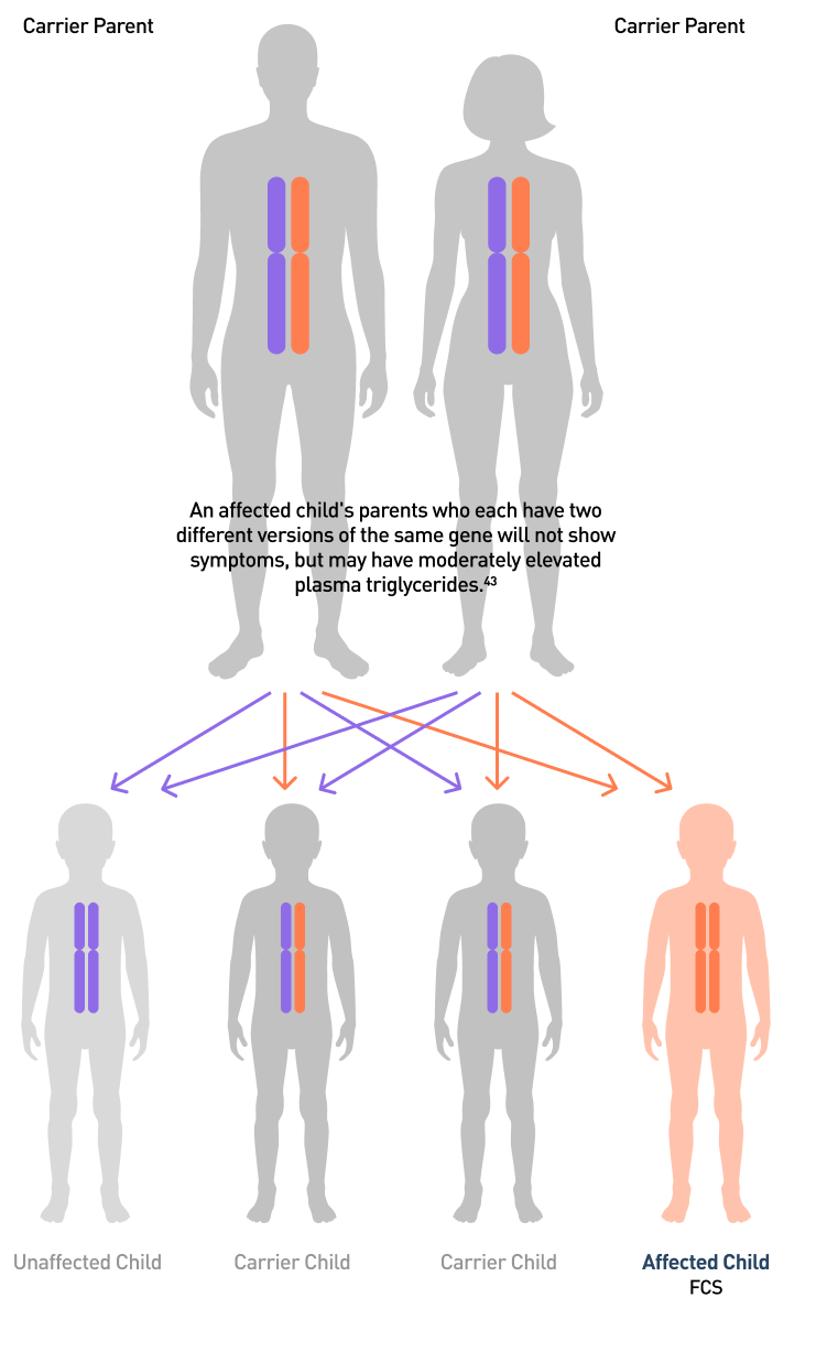 How FCS Genes Are Passed From Parents to a Child